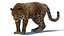 Leopardo animado (piel)