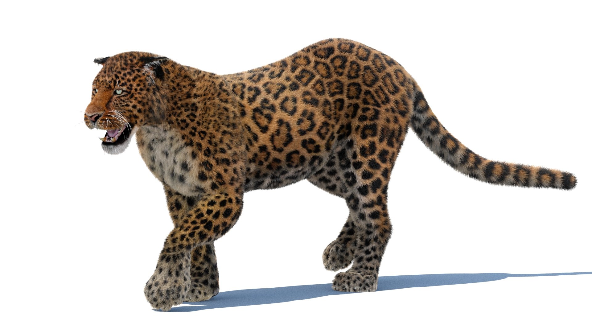 3d leopard fur cat animation https://p.turbosquid.com/ts-thumb/c7/TseoAZ/aA/leopard3dmodelanimatedfurarnold08/jpg/1690058408/1920x1080/fit_q87/469d1bcae535018ea2ef183ffe9fa970f0aad350/leopard3dmodelanimatedfurarnold08.jpg