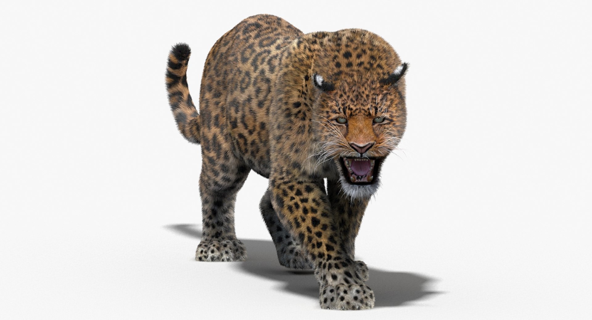 3d leopard fur cat animation https://p.turbosquid.com/ts-thumb/c7/TseoAZ/paJEigVR/leopard3dmodelanimatedfur01/jpg/1551978128/1920x1080/fit_q87/368aa782f818f47a15a5cf4af8f6219e3e91ecc8/leopard3dmodelanimatedfur01.jpg