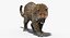 Leopardo animado (piel)