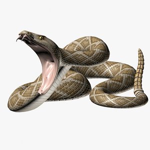 rattlesnake poses