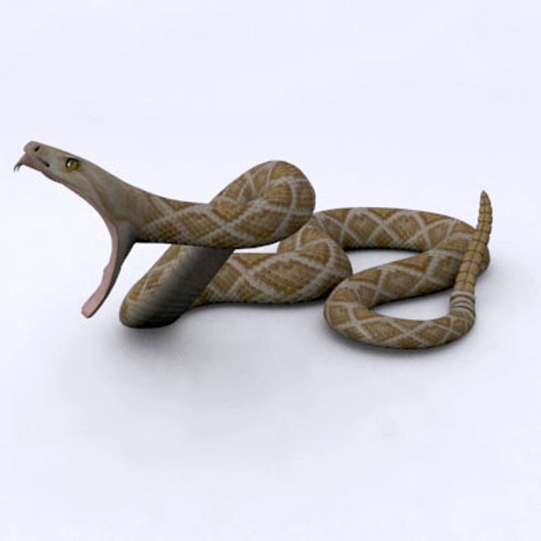 Rattlesnake Poses 3d Max