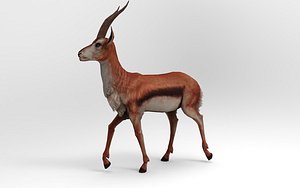 Gazelle 18 Animations 3D model