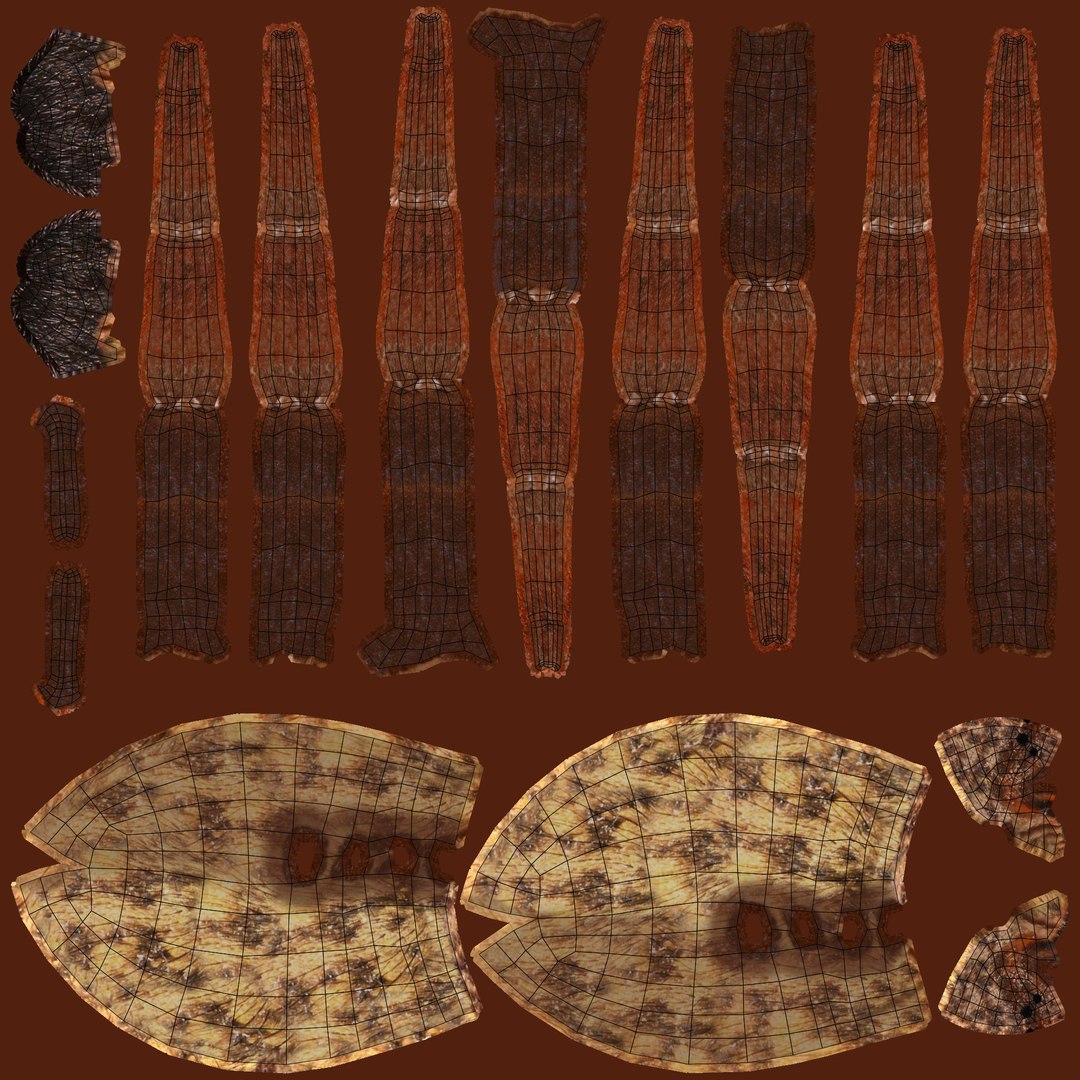 3D Insects Bundle Model - TurboSquid 1973115