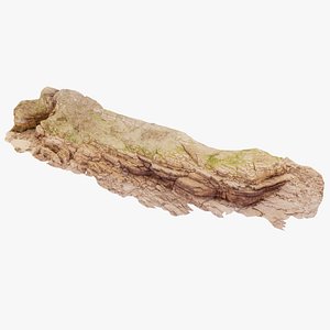 Coastal Cliff Scan 09 16K
