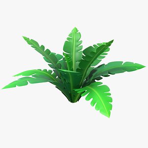3D Cartoon Tropical Plant 01