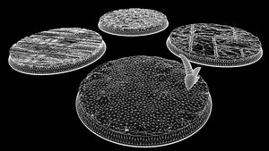 3D model 28mm Bases