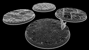 28mm Bases