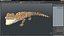 Baby Crocodile Light Color Pose