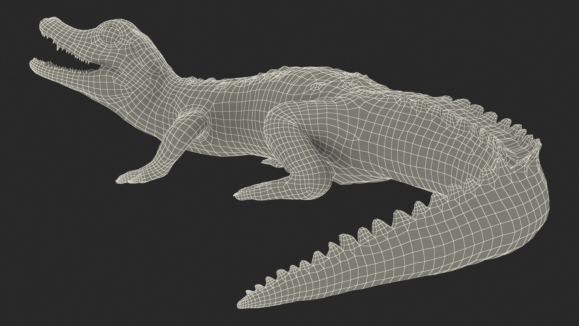 Baby Crocodile Light Color Pose 3D model https://p.turbosquid.com/ts-thumb/c7/v1MZRQ/kq/babycrocodilelightcolorposemb3dmodel030/jpg/1651217394/1920x1080/fit_q87/8776b146ac88bf252d315a070ed5e7d66d6621f8/babycrocodilelightcolorposemb3dmodel030.jpg