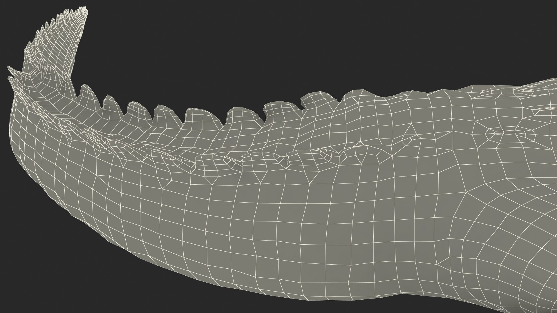 Baby Crocodile Light Color Pose 3D model https://p.turbosquid.com/ts-thumb/c7/v1MZRQ/pa/babycrocodilelightcolorposemb3dmodel032/jpg/1651217400/1920x1080/fit_q87/4956ae3220658a24db6956145e69786734b2871d/babycrocodilelightcolorposemb3dmodel032.jpg