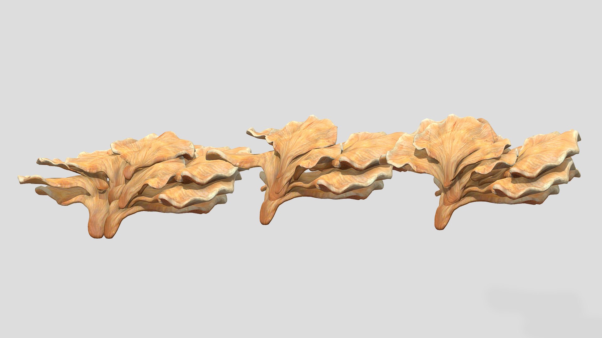 3D Chicken of the Woods Mushroom Low Poly model https://p.turbosquid.com/ts-thumb/c8/3zsrJN/6g/chickenofthewoodsmushroomlowpoly005/jpg/1733130081/1920x1080/fit_q87/50c9dcb497eb4988016a21e7fa0533875d401b39/chickenofthewoodsmushroomlowpoly005.jpg