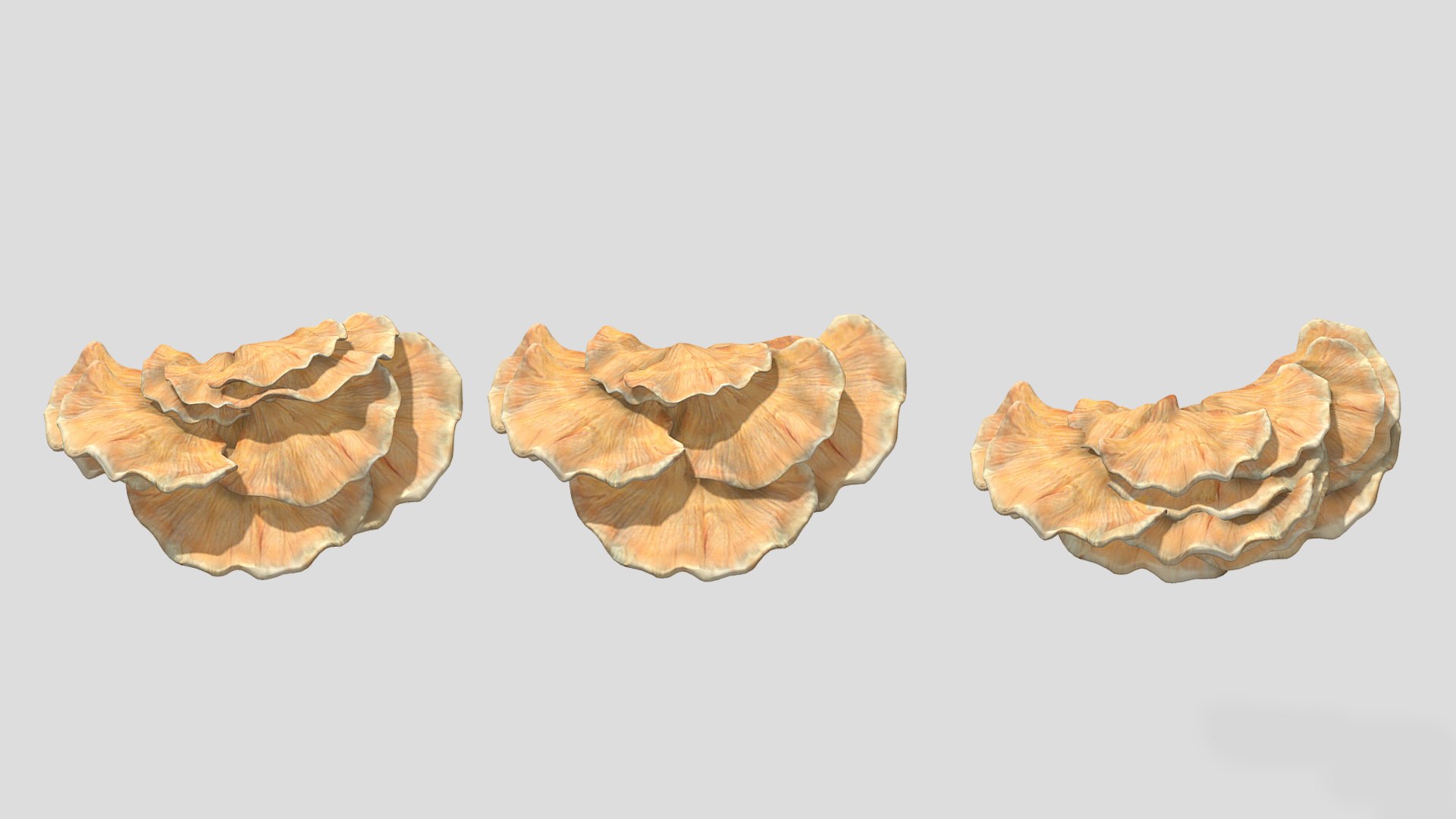 3D Chicken of the Woods Mushroom Low Poly model https://p.turbosquid.com/ts-thumb/c8/3zsrJN/C4/chickenofthewoodsmushroomlowpoly007/jpg/1733130083/1920x1080/fit_q87/26f62b610b659725cd0307157a70cf0faecb6357/chickenofthewoodsmushroomlowpoly007.jpg