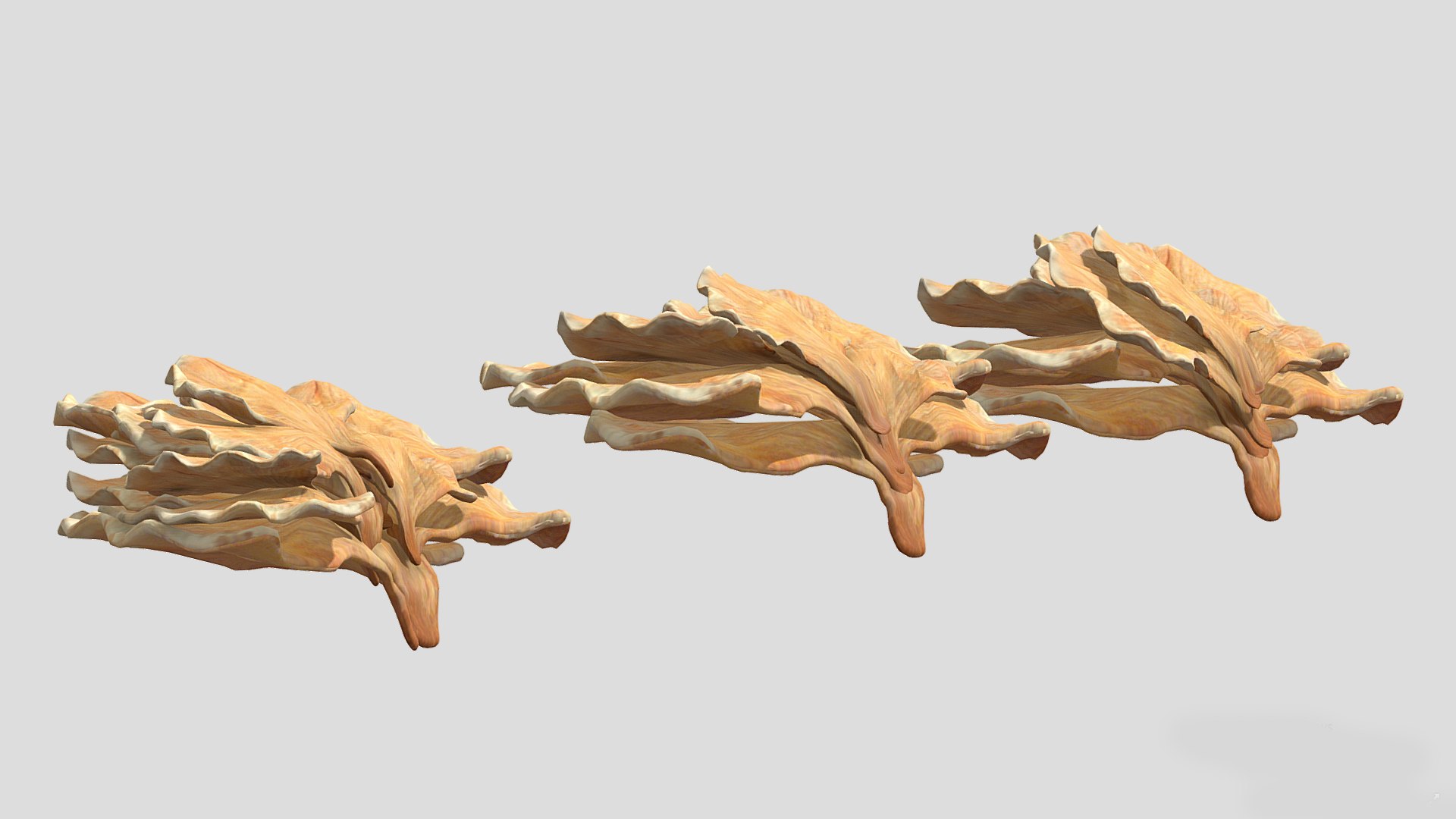 3D Chicken of the Woods Mushroom Low Poly model https://p.turbosquid.com/ts-thumb/c8/3zsrJN/Ol/chickenofthewoodsmushroomlowpoly009/jpg/1733130084/1920x1080/fit_q87/f2caaed233f52243fbf801e5f3680682220a1705/chickenofthewoodsmushroomlowpoly009.jpg