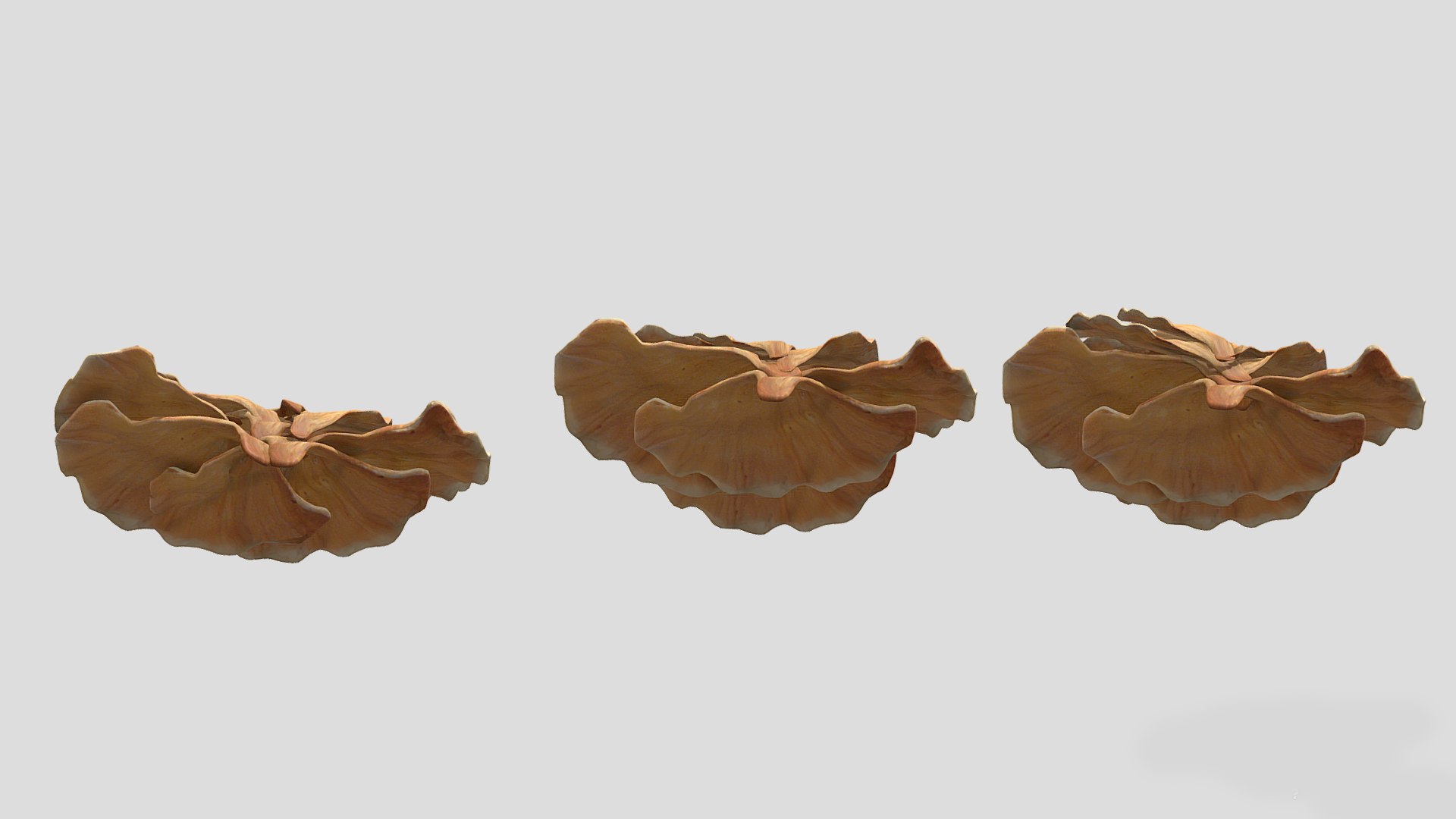 3D Chicken of the Woods Mushroom Low Poly model https://p.turbosquid.com/ts-thumb/c8/3zsrJN/sq/chickenofthewoodsmushroomlowpoly010/jpg/1733130084/1920x1080/fit_q87/0cb9dcc1cb68d2fe2aff5575e030c7cd04189311/chickenofthewoodsmushroomlowpoly010.jpg