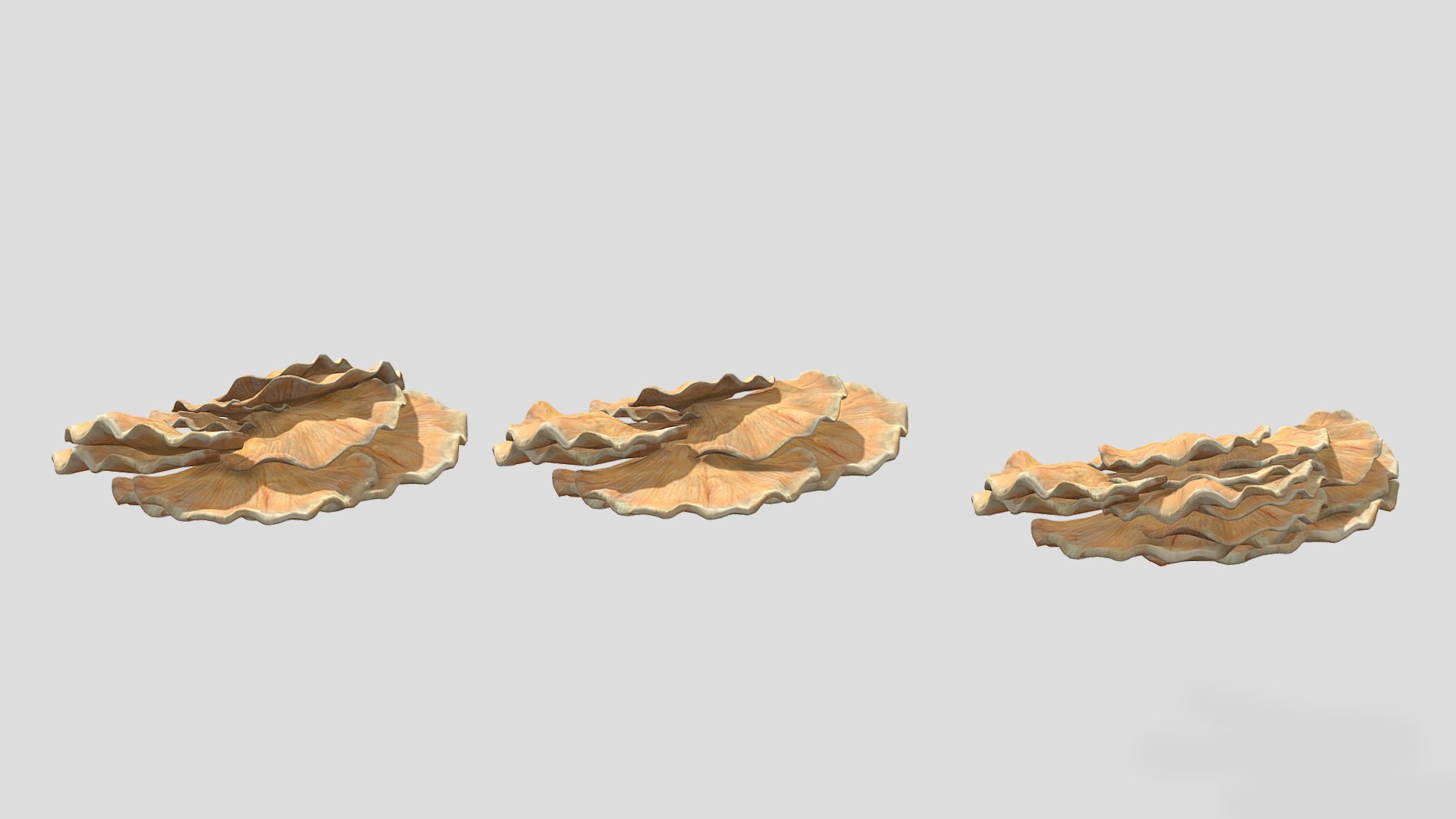 3D Chicken of the Woods Mushroom Low Poly model https://p.turbosquid.com/ts-thumb/c8/3zsrJN/tK/chickenofthewoodsmushroomlowpoly001/jpg/1733130079/1920x1080/fit_q87/706dc1ec4b9ee21fa319a8bcca8d581e943ad150/chickenofthewoodsmushroomlowpoly001.jpg