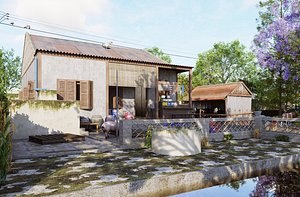 3D COUNTRY HOUSE