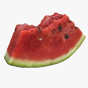3dsmax melon hotel