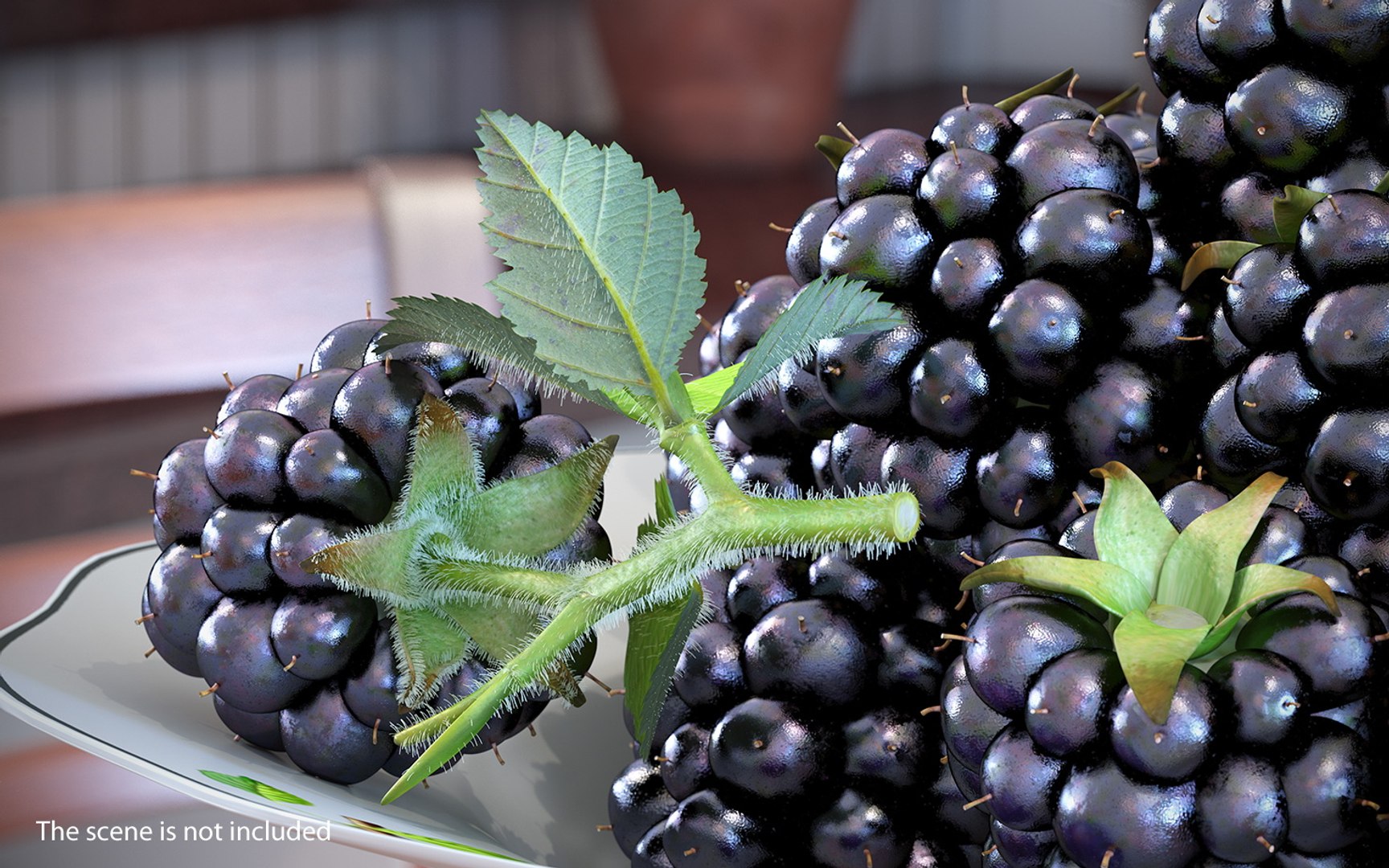 Blackberry Leaves Fur Model - TurboSquid 1380361
