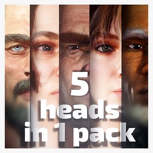 5 realistic models of heads 3D model