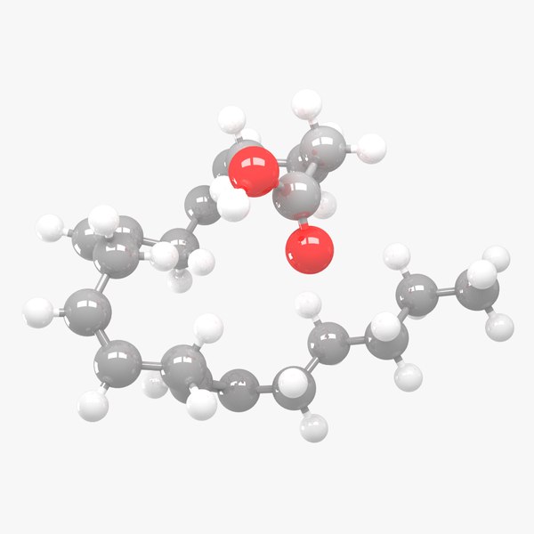 3D Arachidonic acid - C20H32O2 Molecular Structure model