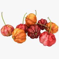 Surinam Cherries (Color 2)