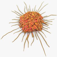 Cancer Cell