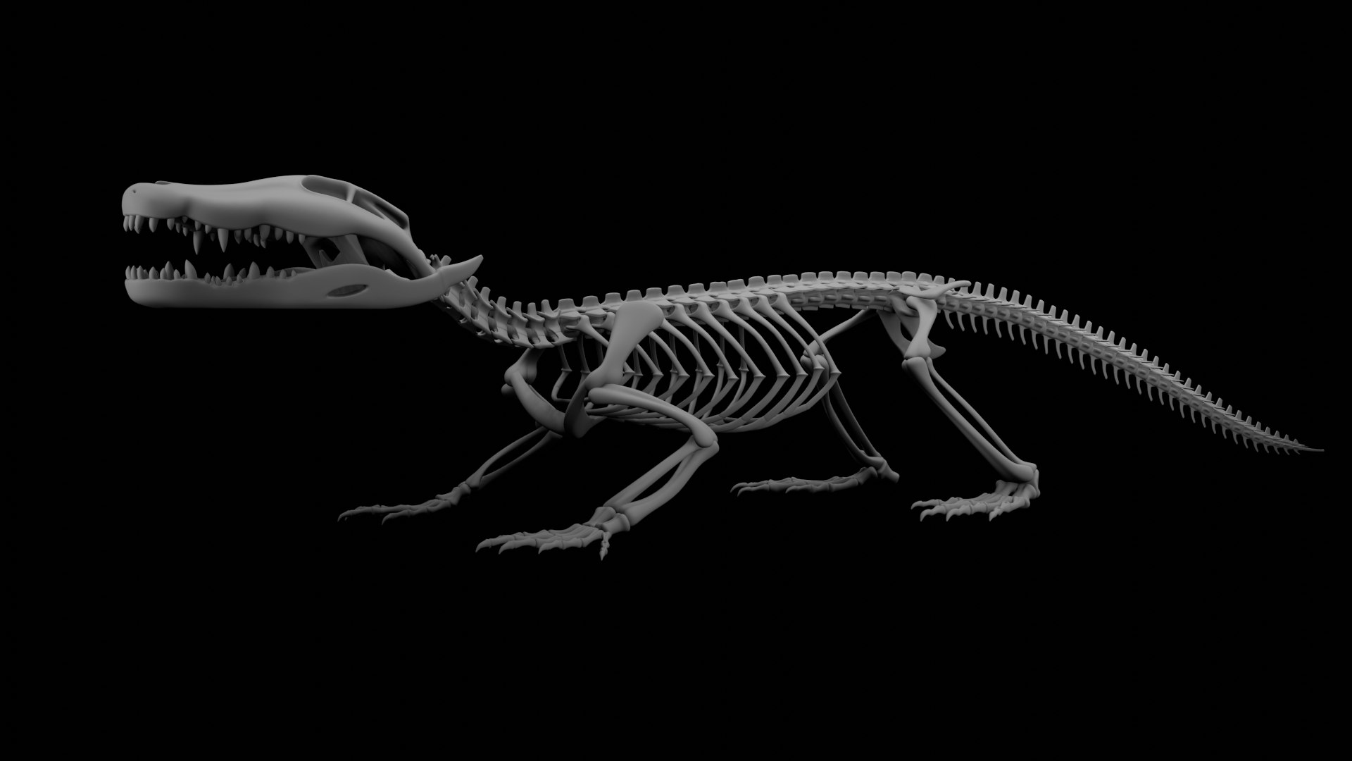 Crocodile Skeleton 3D Model  Highly Detailed Clean Topology  Animation Ready 3D model https://p.turbosquid.com/ts-thumb/c8/aJFXdw/5D/08/png/1746872225/1920x1080/fit_q87/1d218ff5cea9432ec8e15c453ec7eebba579ccdb/08.jpg
