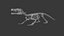 Modèle 3D de squelette de crocodile, topologie propre et très détaillée, prêt pour l'animation