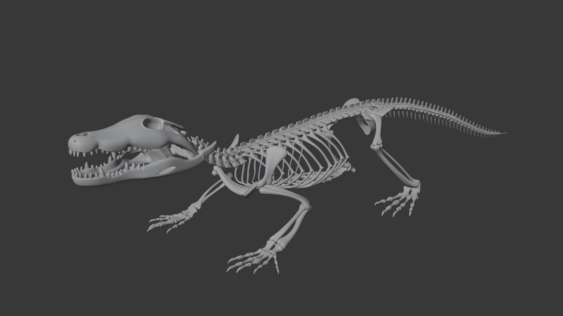 Crocodile Skeleton 3D Model  Highly Detailed Clean Topology  Animation Ready 3D model https://p.turbosquid.com/ts-thumb/c8/aJFXdw/LR/09/png/1746872226/1920x1080/fit_q87/d72f90fdaa8a43ba6f8dc887cc808a3085ab5ed3/09.jpg