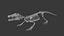 Modèle 3D de squelette de crocodile, topologie propre et très détaillée, prêt pour l'animation