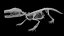 Modèle 3D de squelette de crocodile, topologie propre et très détaillée, prêt pour l'animation