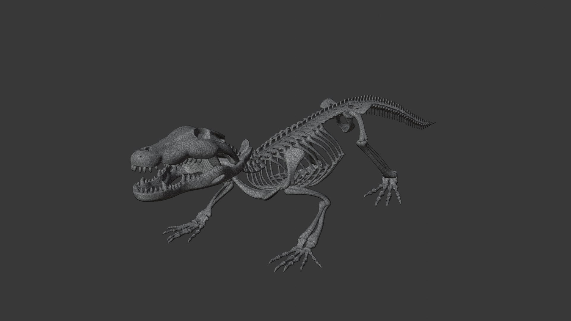 Crocodile Skeleton 3D Model  Highly Detailed Clean Topology  Animation Ready 3D model https://p.turbosquid.com/ts-thumb/c8/aJFXdw/Ns/16/png/1746872235/1920x1080/fit_q87/831909a1de67f505e438f2e535cbe63246907b6c/16.jpg