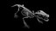 Modèle 3D de squelette de crocodile, topologie propre et très détaillée, prêt pour l'animation