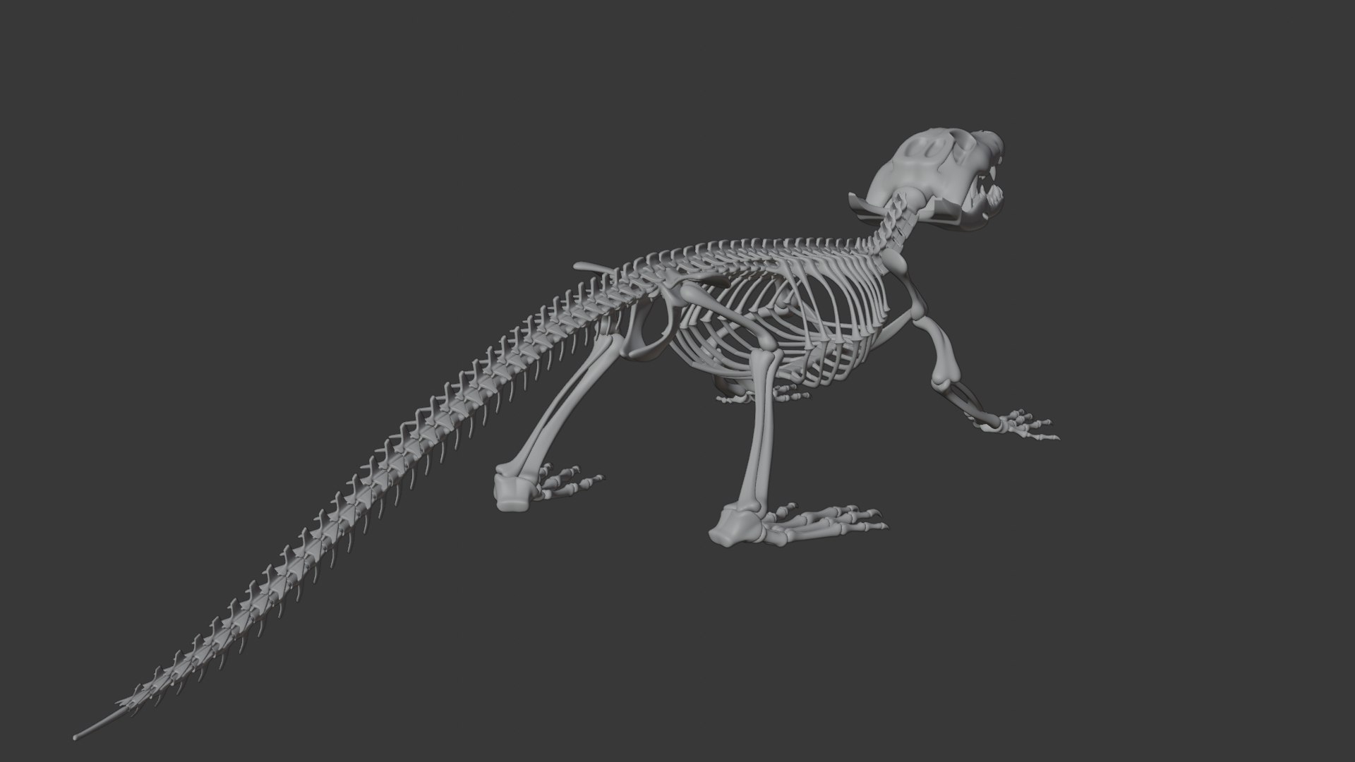 Crocodile Skeleton 3D Model  Highly Detailed Clean Topology  Animation Ready 3D model https://p.turbosquid.com/ts-thumb/c8/aJFXdw/RE/12/png/1746872228/1920x1080/fit_q87/10d6fff3f0471651d5d6bdb46792efa95e20d77c/12.jpg