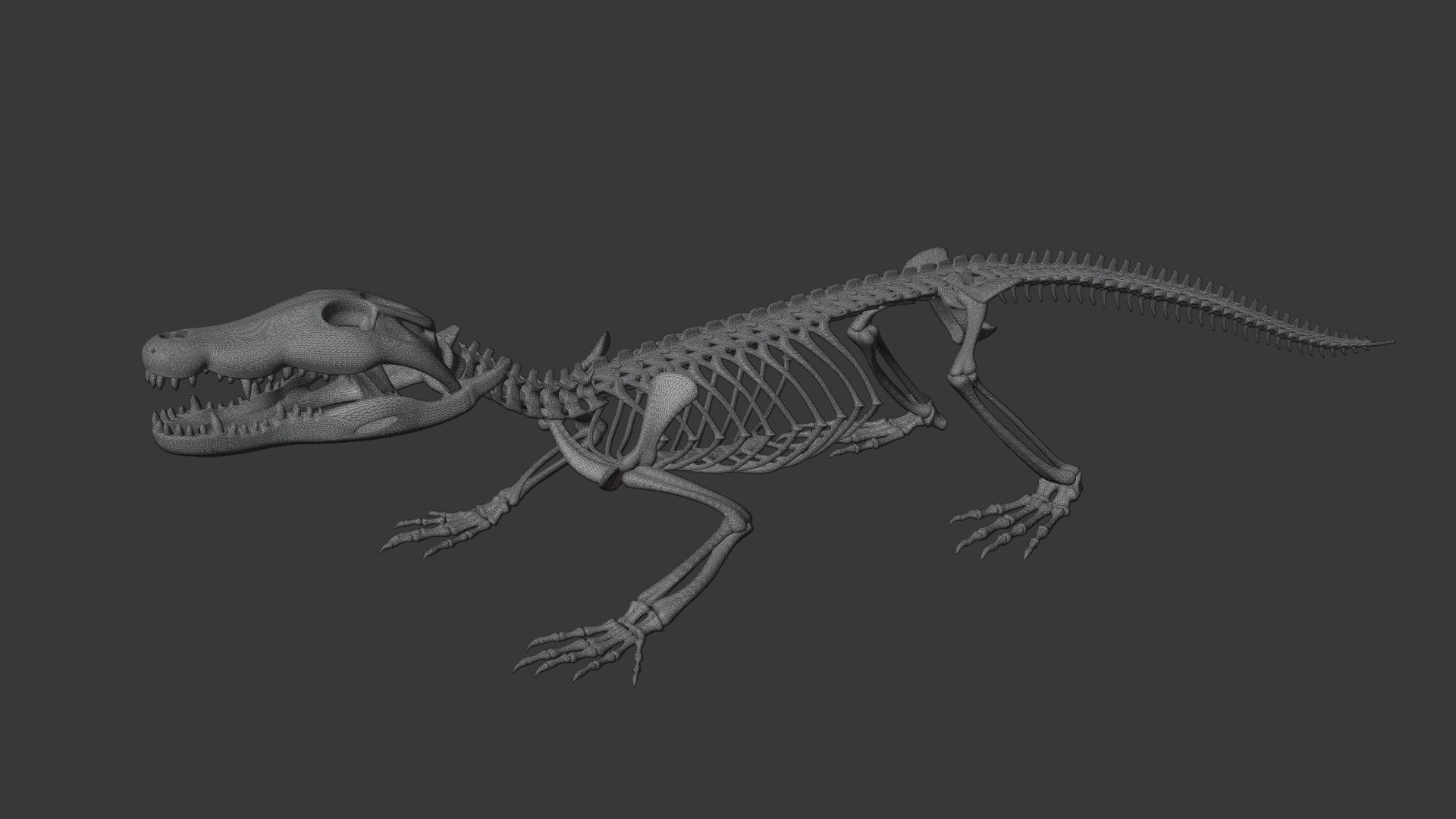 Crocodile Skeleton 3D Model  Highly Detailed Clean Topology  Animation Ready 3D model https://p.turbosquid.com/ts-thumb/c8/aJFXdw/RQ/15/png/1746872232/1920x1080/fit_q87/3b933ad4071859d0c83091ae94bf4260fab67210/15.jpg