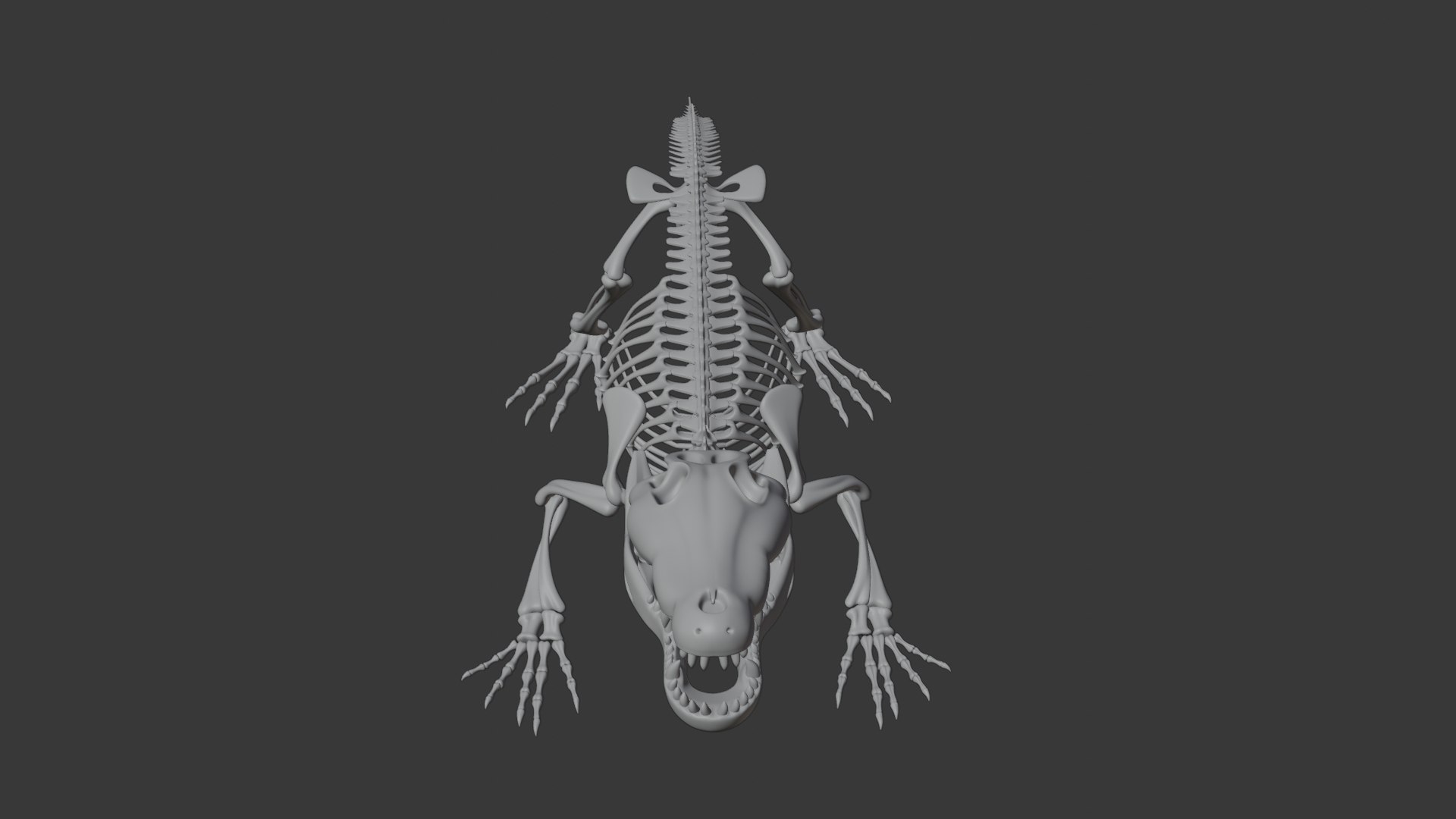 Crocodile Skeleton 3D Model  Highly Detailed Clean Topology  Animation Ready 3D model https://p.turbosquid.com/ts-thumb/c8/aJFXdw/Za/10/png/1746872229/1920x1080/fit_q87/f8851538412cc61daf4851b3b11271c620cdd406/10.jpg