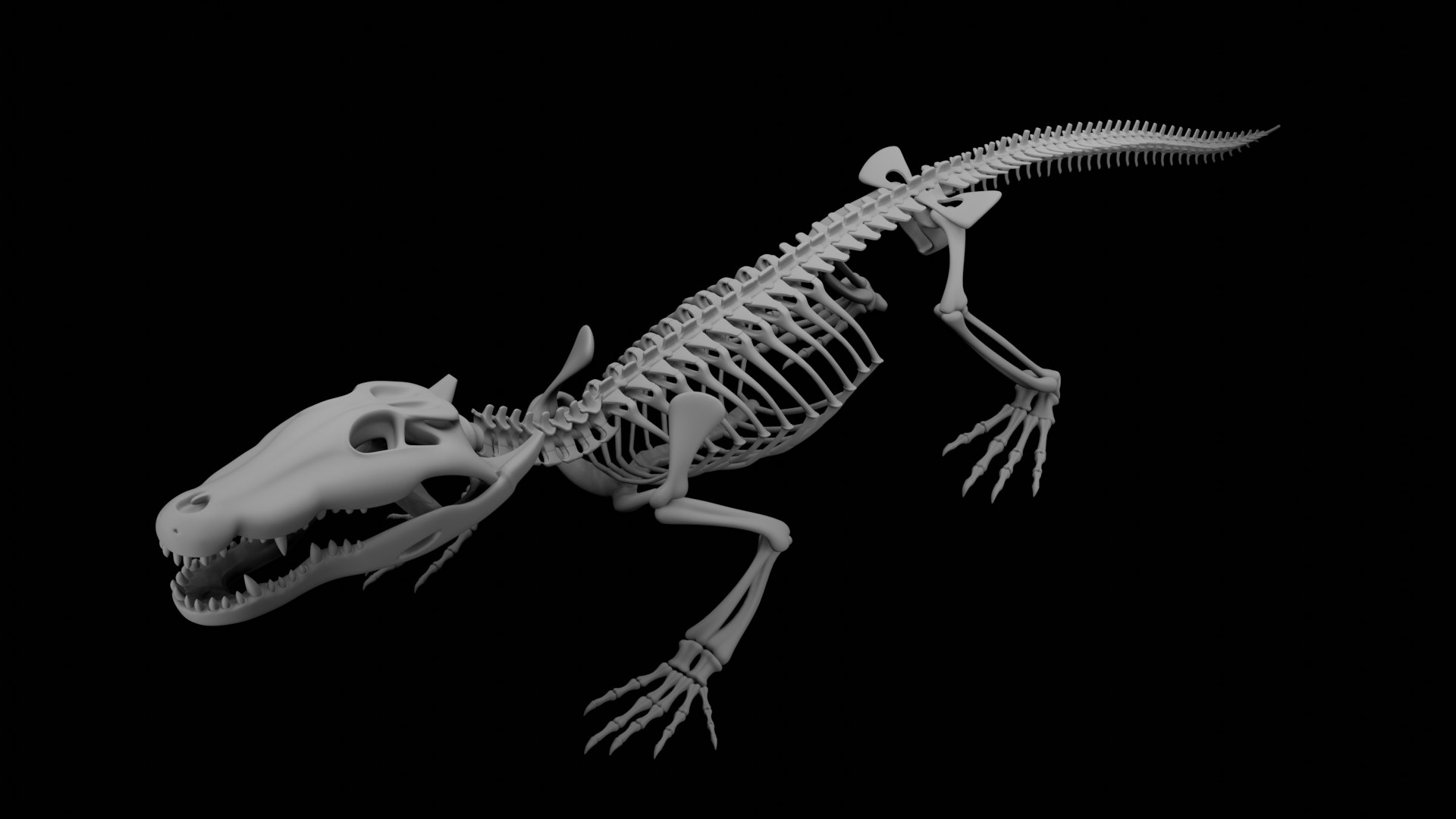Crocodile Skeleton 3D Model  Highly Detailed Clean Topology  Animation Ready 3D model https://p.turbosquid.com/ts-thumb/c8/aJFXdw/kq/07/png/1746872224/1920x1080/fit_q87/4b1fbcea35fb38bb5b979c47b6509879533664da/07.jpg