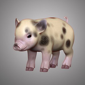 mini pig 3D model