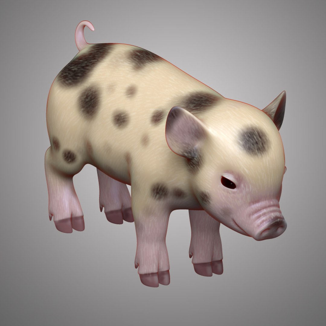Mini Pig 3D Model - TurboSquid 1163297