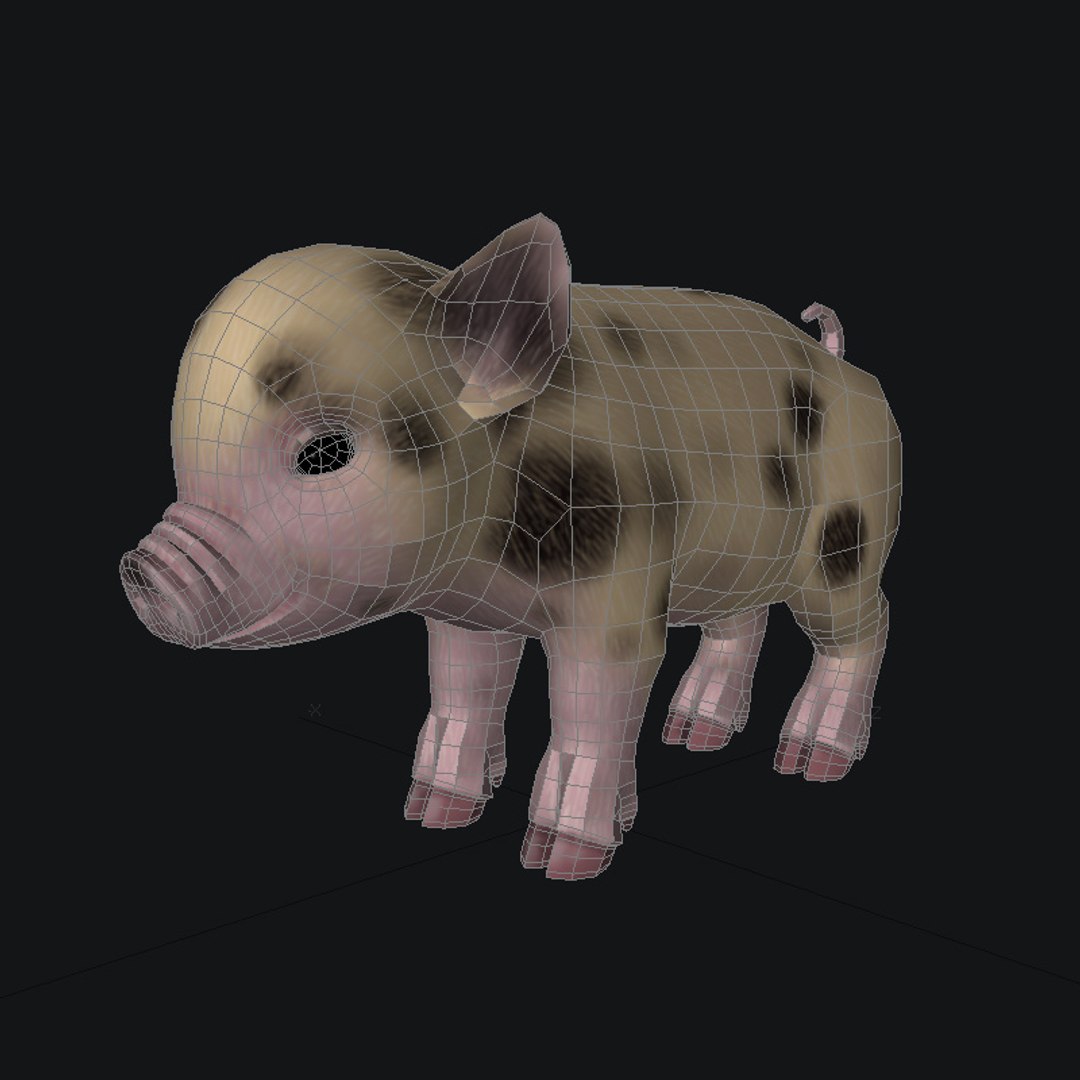 Mini Pig 3D Model - TurboSquid 1163297