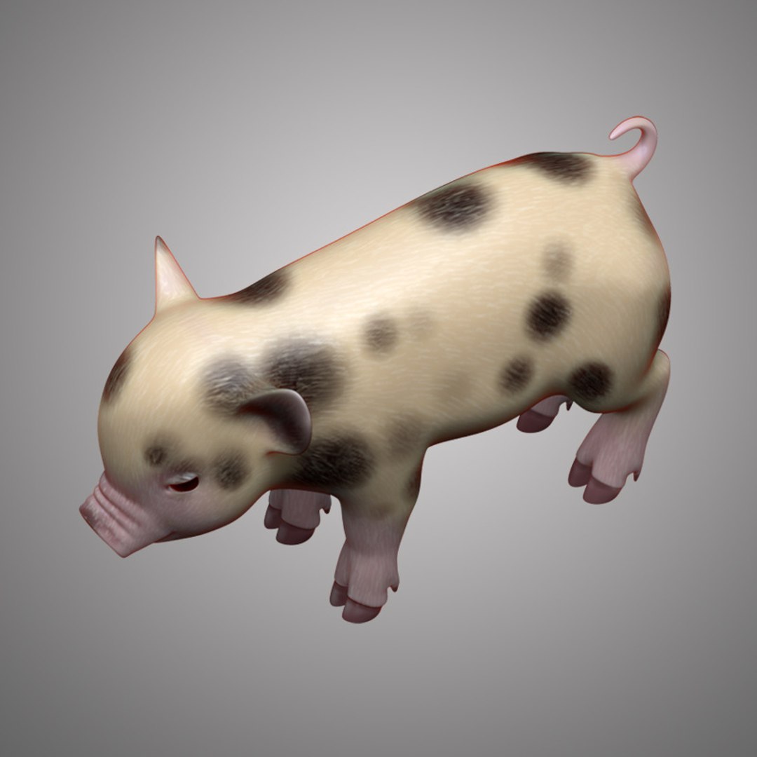 Mini Pig 3D Model - TurboSquid 1163297