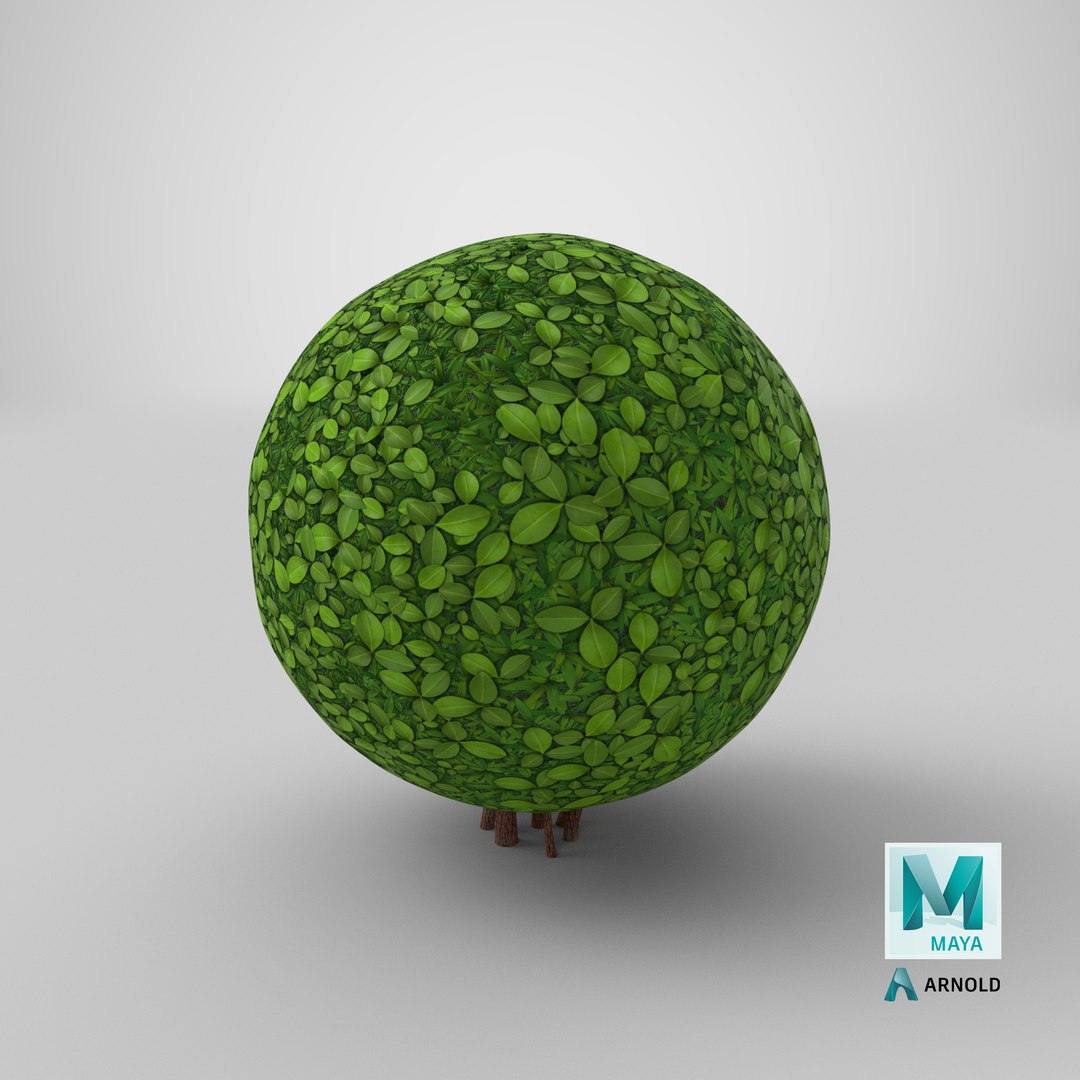 Stylized Sphere Bush V2 3D https://p.turbosquid.com/ts-thumb/c8/fvCp3M/fd/stemcell_maya_arnold_render/png/1688052091/1920x1080/fit_q87/7081b0ab5e81b97ec3787912cb8bf8241e847205/stemcell_maya_arnold_render.jpg