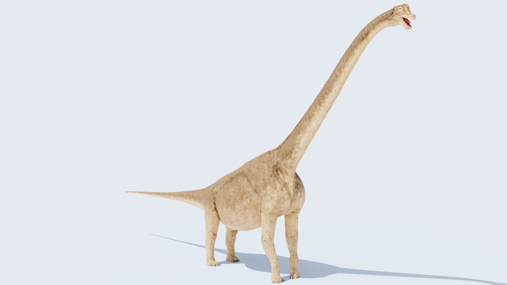 3D model Brachiosaurus-Altitorax https://p.turbosquid.com/ts-thumb/c8/pjXCST/46/braquio0029/png/1745182131/1920x1080/fit_q87/d39c38013b6408ddb14559b344f30c950a8cf5e5/braquio0029.jpg