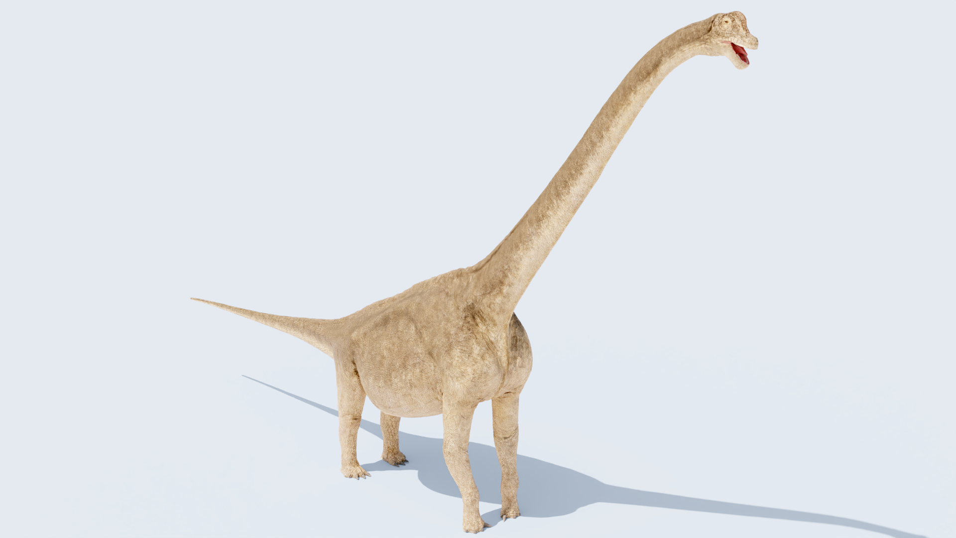 3D model Brachiosaurus-Altitorax https://p.turbosquid.com/ts-thumb/c8/pjXCST/9z/braquio/png/1745182153/1920x1080/turn_fit_q99/a5bf1d087495d1db076a8087c2fffe88269d614e/braquio-1.jpg