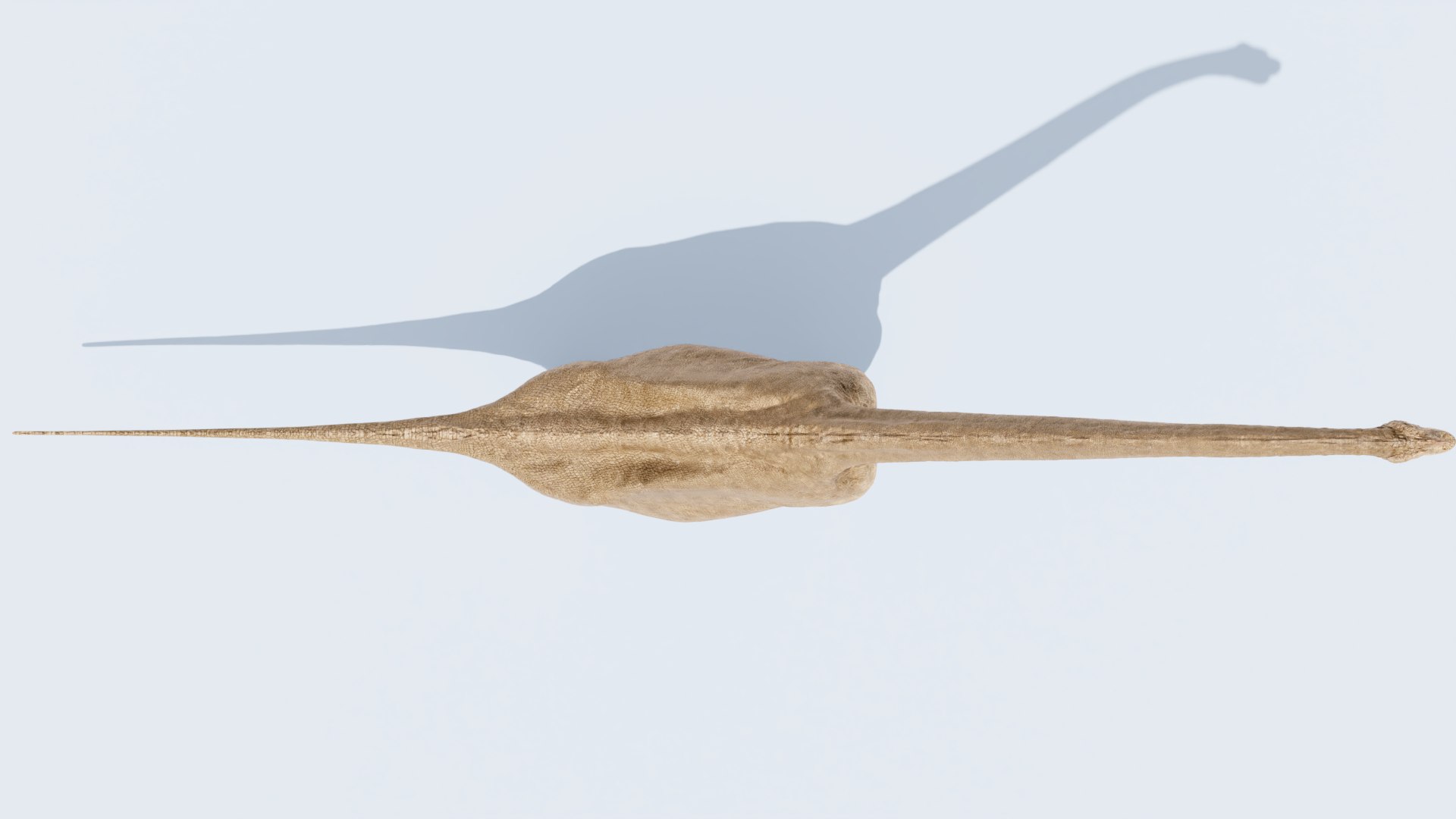 3D model Brachiosaurus-Altitorax https://p.turbosquid.com/ts-thumb/c8/pjXCST/L5/braquio0025/png/1745182128/1920x1080/fit_q87/1368a43845f908b6167c7229741663ffec295018/braquio0025.jpg