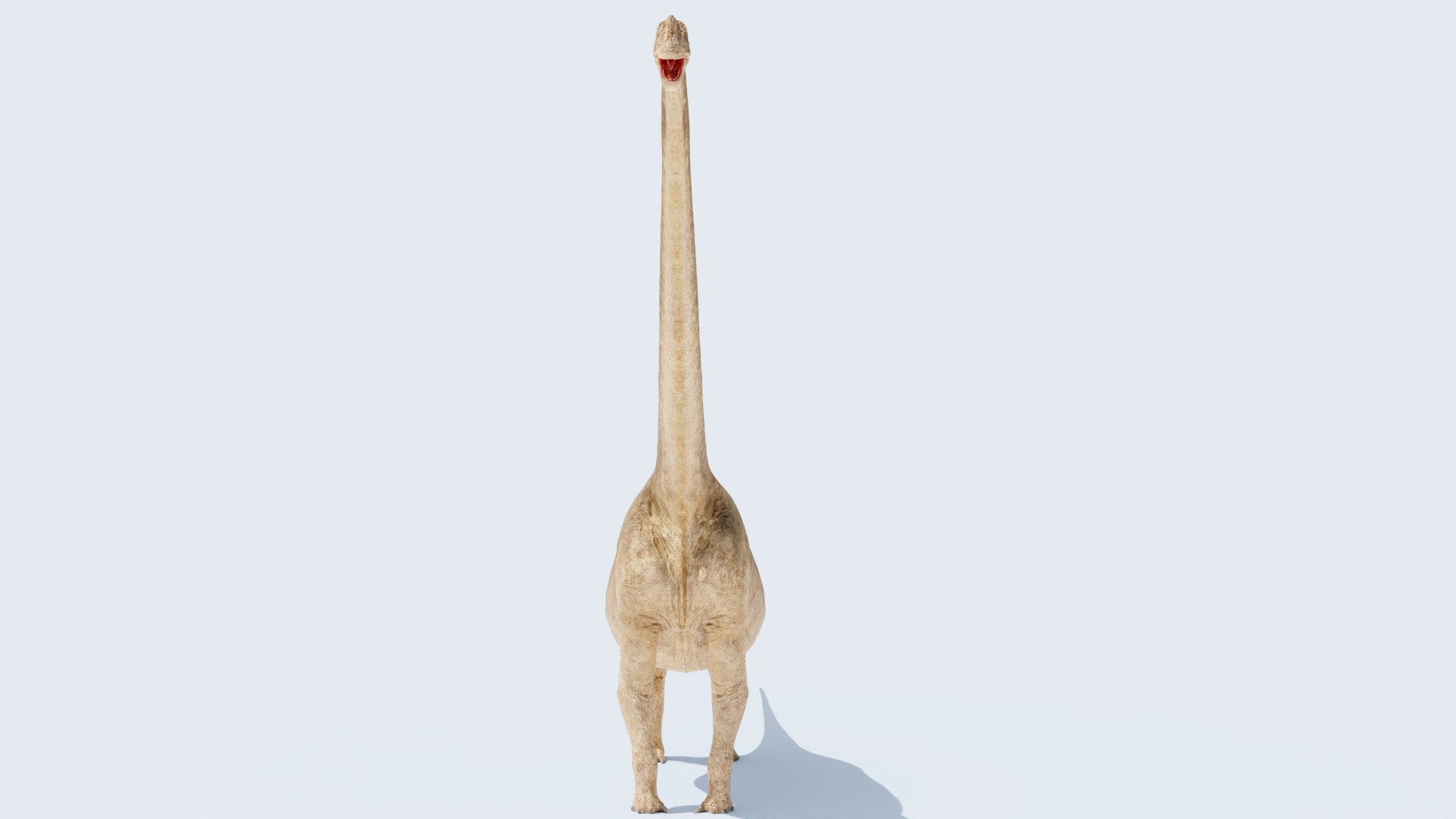 3D model Brachiosaurus-Altitorax https://p.turbosquid.com/ts-thumb/c8/pjXCST/QO/braquio0027/png/1745182129/1920x1080/fit_q87/f10e4f184ea4e54e0ef845732ea7a0c74a55505a/braquio0027.jpg