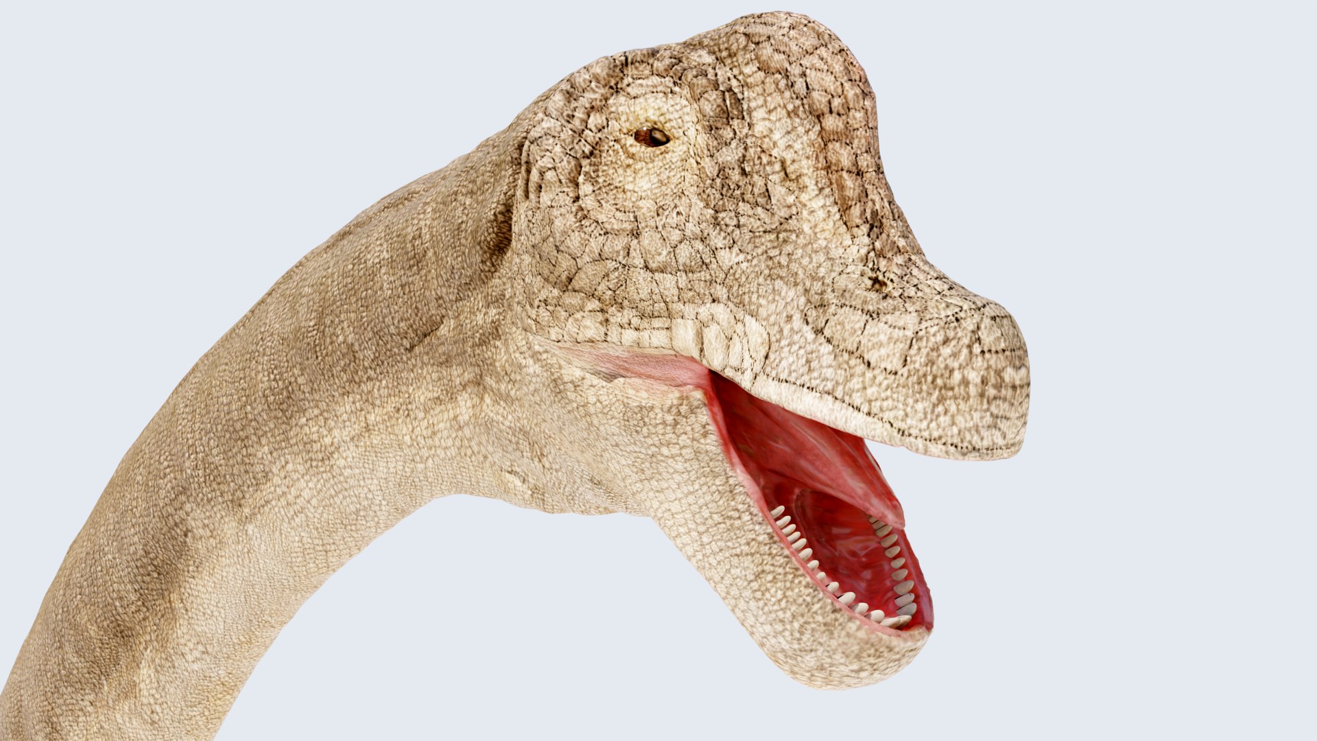 3D model Brachiosaurus-Altitorax https://p.turbosquid.com/ts-thumb/c8/pjXCST/mD/braquio0031/png/1745182128/1920x1080/fit_q87/75bcaad0317d8c6c258cd082d9385d0cada2a86b/braquio0031.jpg