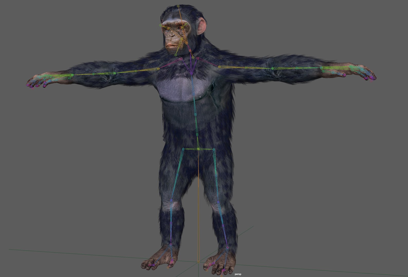 Chimpanzee Ape Rigged 3D Model - TurboSquid 1931761