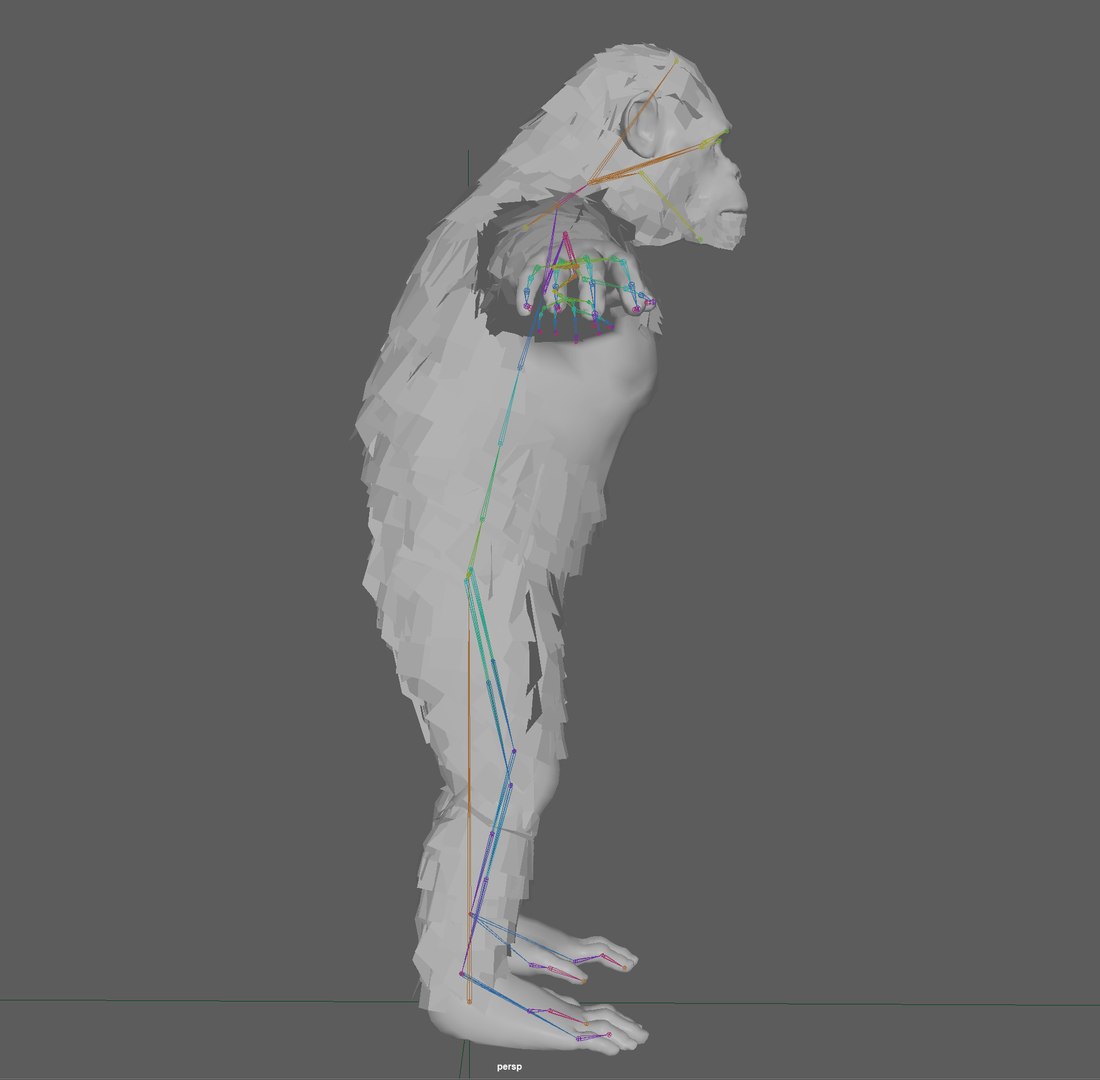 Chimpanzee Ape Rigged 3D Model - TurboSquid 1931761